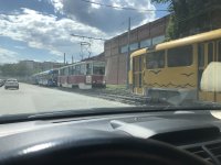 IMG_8919.jpeg